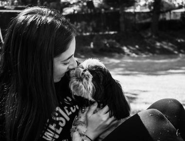 Dog Bites Your Nose? Here's Why & What to Do