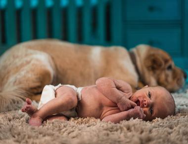 Do Dogs Know What Babies Are?